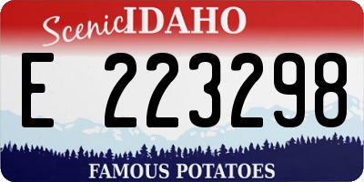 ID license plate E223298