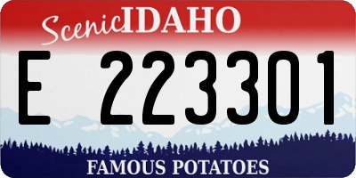 ID license plate E223301