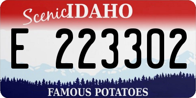 ID license plate E223302
