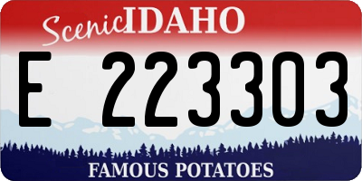 ID license plate E223303