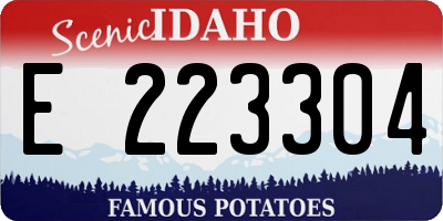 ID license plate E223304