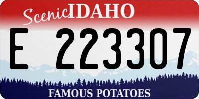 ID license plate E223307