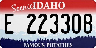 ID license plate E223308