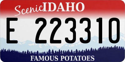 ID license plate E223310