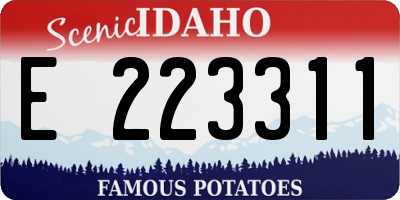 ID license plate E223311