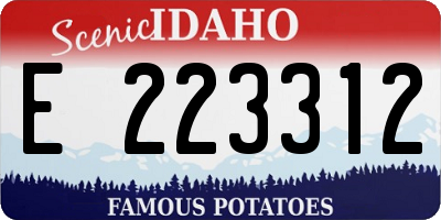 ID license plate E223312