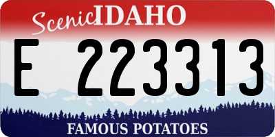 ID license plate E223313