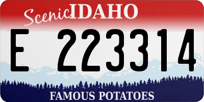 ID license plate E223314