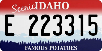 ID license plate E223315