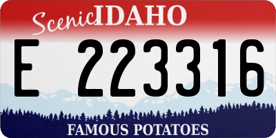 ID license plate E223316