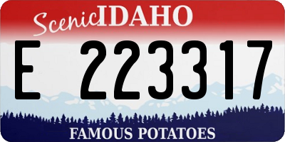 ID license plate E223317