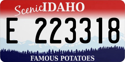ID license plate E223318