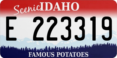 ID license plate E223319