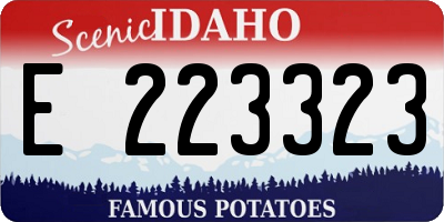 ID license plate E223323