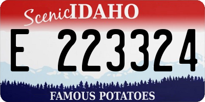 ID license plate E223324