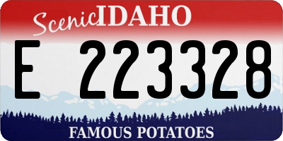 ID license plate E223328