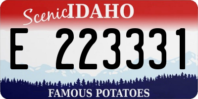 ID license plate E223331