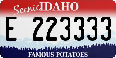 ID license plate E223333