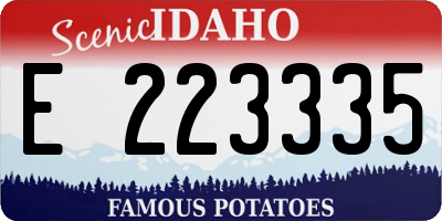 ID license plate E223335