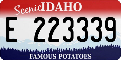 ID license plate E223339