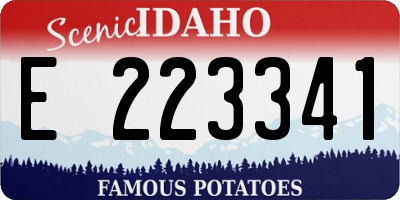ID license plate E223341