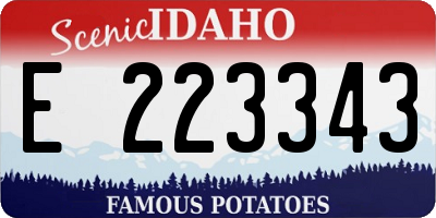 ID license plate E223343