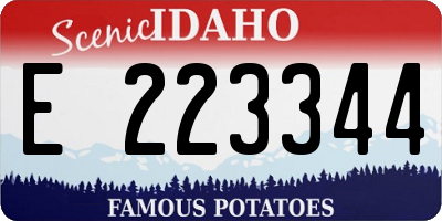 ID license plate E223344