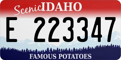 ID license plate E223347