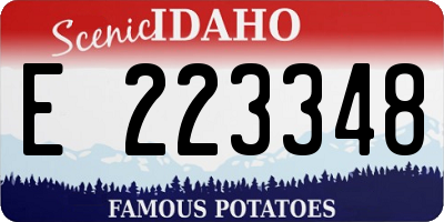 ID license plate E223348