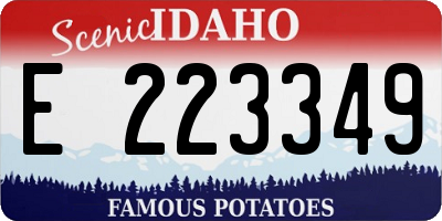 ID license plate E223349