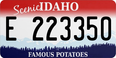 ID license plate E223350
