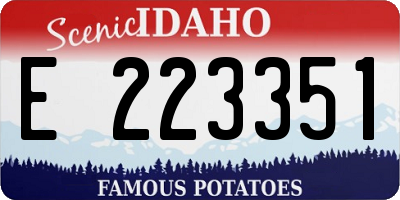 ID license plate E223351