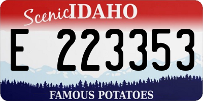 ID license plate E223353
