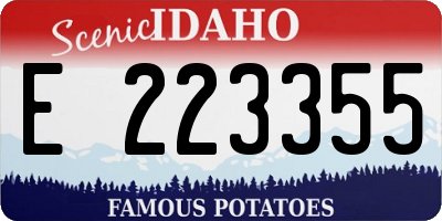 ID license plate E223355