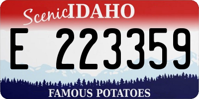 ID license plate E223359