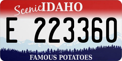 ID license plate E223360