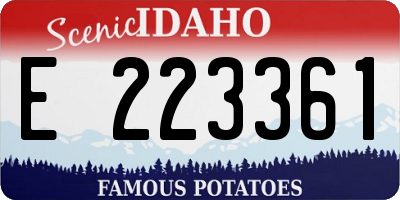 ID license plate E223361