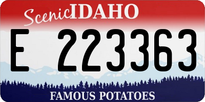 ID license plate E223363