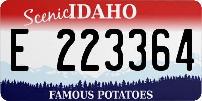 ID license plate E223364