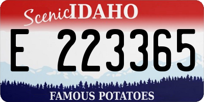 ID license plate E223365
