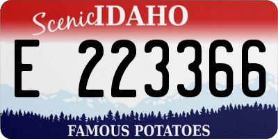 ID license plate E223366