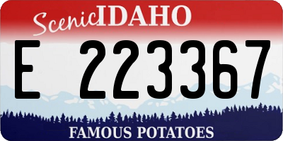 ID license plate E223367