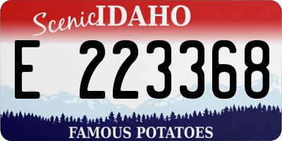 ID license plate E223368
