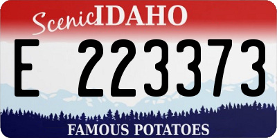 ID license plate E223373