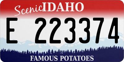 ID license plate E223374