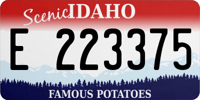 ID license plate E223375
