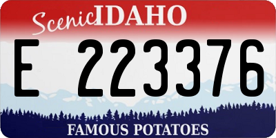 ID license plate E223376