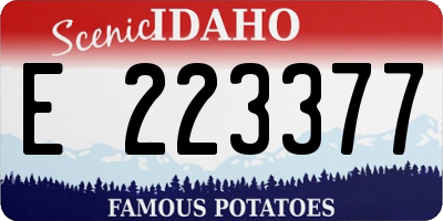 ID license plate E223377