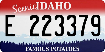 ID license plate E223379