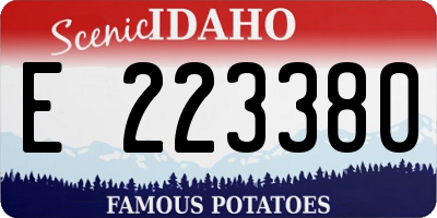 ID license plate E223380